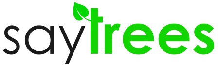 First American India